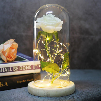 Enchanted Forever Rose Flower in Glass LED Light