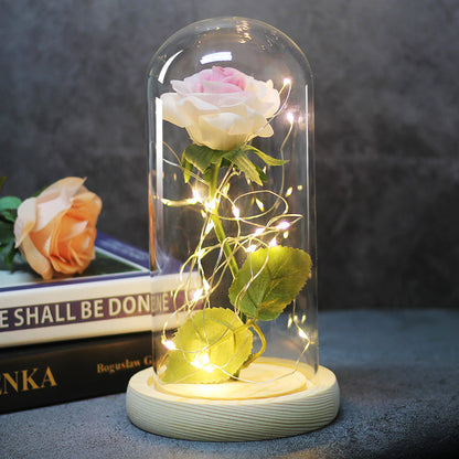 Enchanted Forever Rose Flower in Glass LED Light