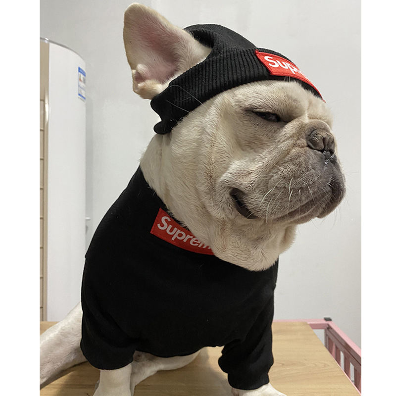 HYGGEPET Pet Clothing Fashion Brand Street Dog