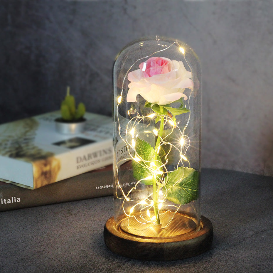 Enchanted Forever Rose Flower in Glass LED Light