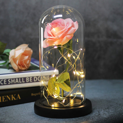 Enchanted Forever Rose Flower in Glass LED Light