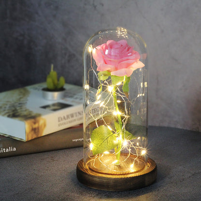 Enchanted Forever Rose Flower in Glass LED Light