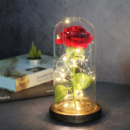 Enchanted Forever Rose Flower in Glass LED Light