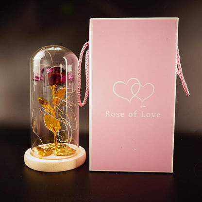 Enchanted Forever Rose Flower in Glass LED Light