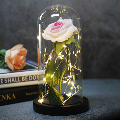 Enchanted Forever Rose Flower in Glass LED Light