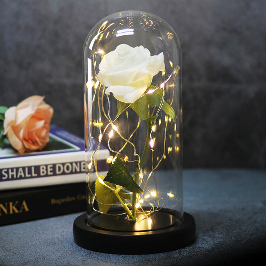 Enchanted Forever Rose Flower in Glass LED Light