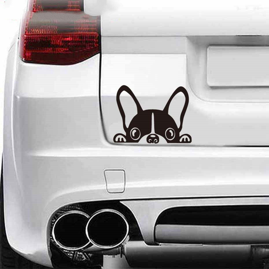 French bulldog car sticker