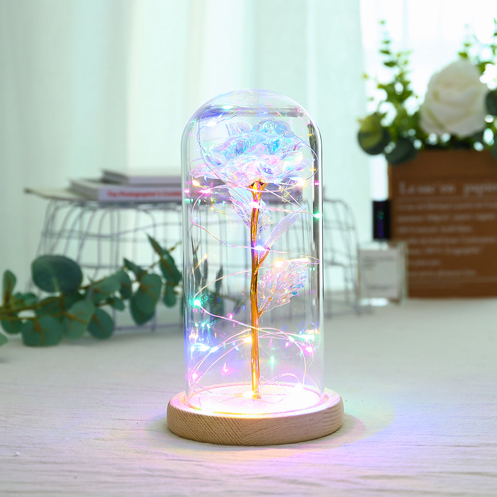 Enchanted Forever Rose Flower in Glass LED Light