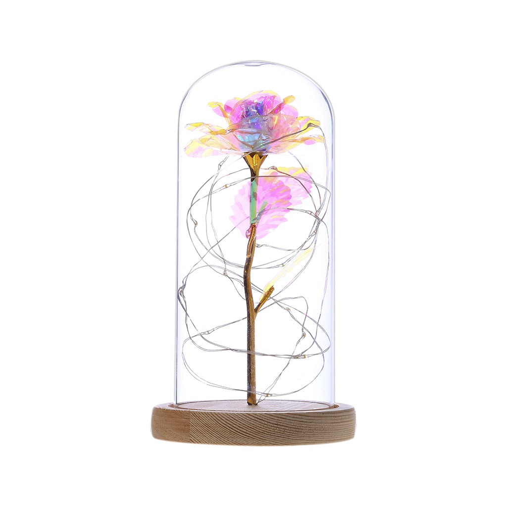 Enchanted Forever Rose Flower in Glass LED Light