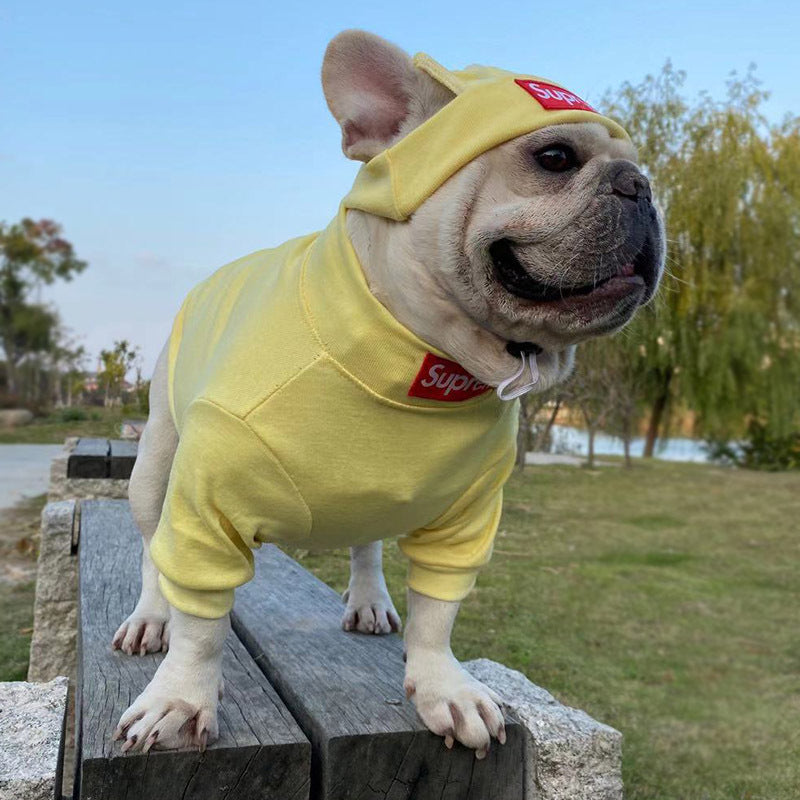 HYGGEPET Pet Clothing Fashion Brand Street Dog