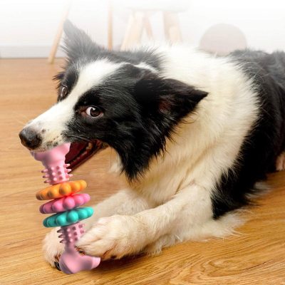 Dog Chew Toy Dog Bone Type Dogs Teeth Cleaning