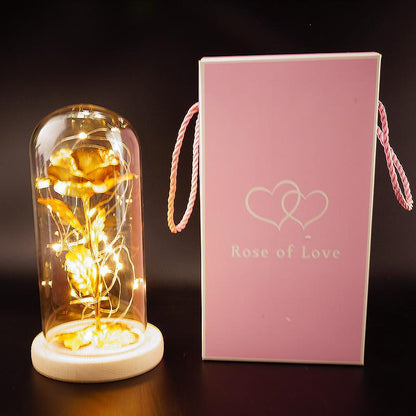 Enchanted Forever Rose Flower in Glass LED Light